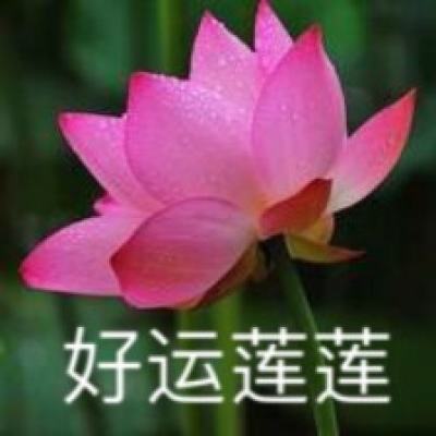 北京世园国际旅游度假区新增“国药汤池”